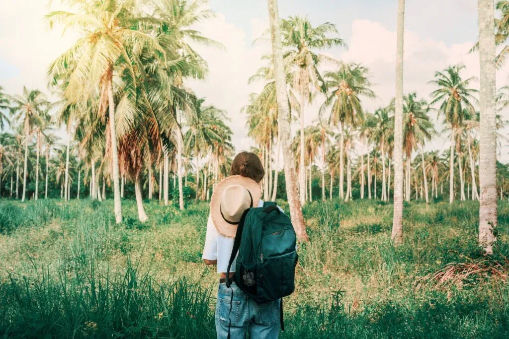 Young female traveler with backpack exploring a tropical palm forest