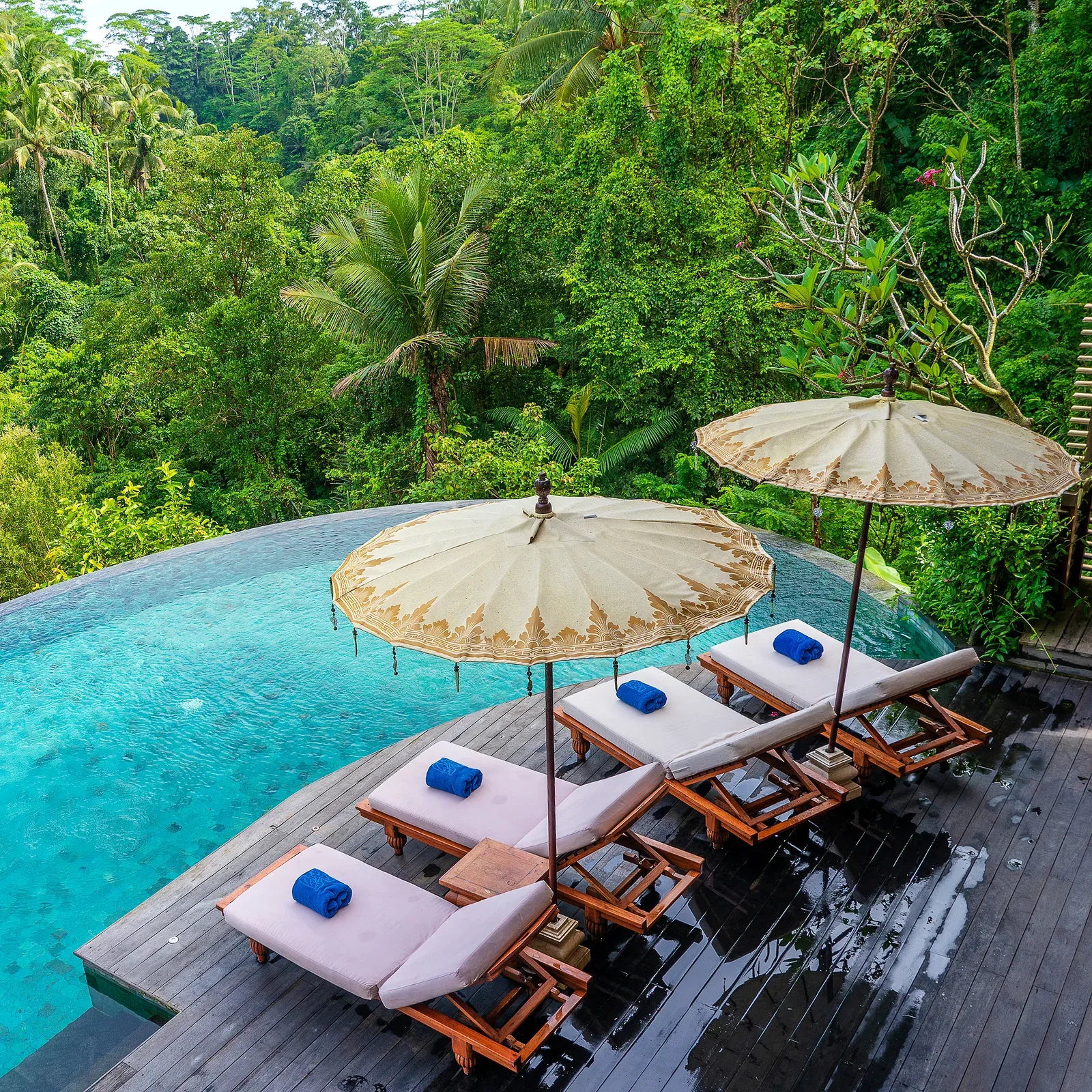 View of the swimming pool water and sunbeds in the tropical jungle in the morning near Ubud, Bali, Indonesia , top view